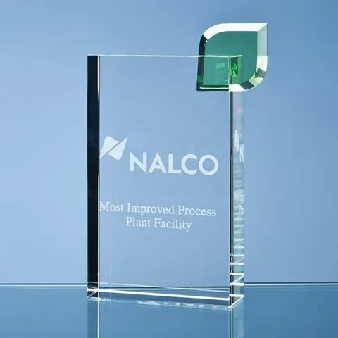 17cm Optical Crystal Eco Excellence Award with a Single Green Leaf