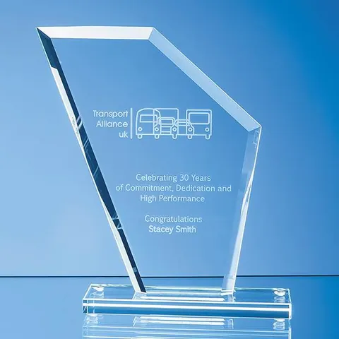 Jade Glass Bevelled Edge Wing Award