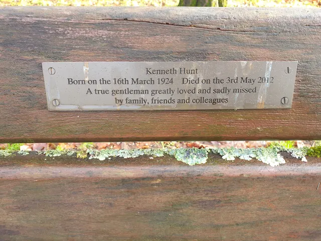 Long memorial bench plaque in a serif font on a weathered park bench