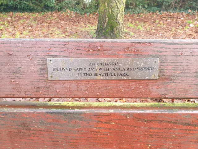Stainless steel memorial plaque in capitals on a red-painted park bench